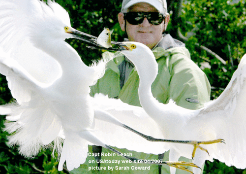 sunlobo's profile picture. http://t.co/0zNF60Sqwz