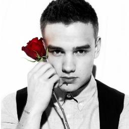 _comeback_'s profile picture. quando riesci a vedere il mare in un paio di occhi -castani,e' la fine || @Real_Liam_Payne are my prince