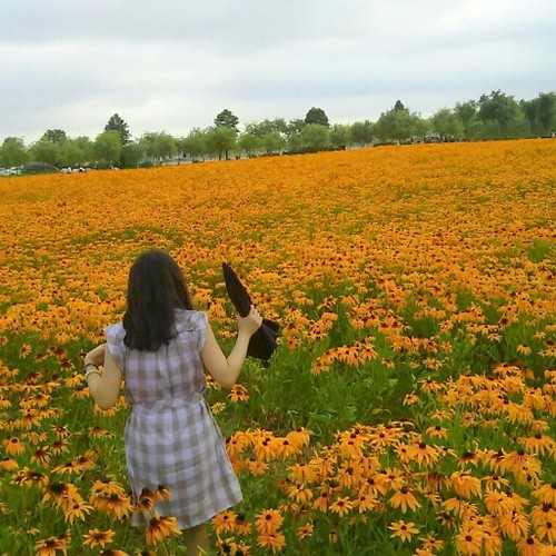 Flowers We Are