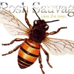 PoshSauvage's profile picture. 