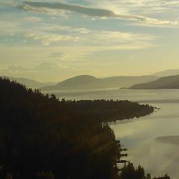 dancelikeno's profile picture. 