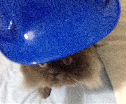 ozlemyildiz's profile picture. http://t.co/yRvanKYjK9