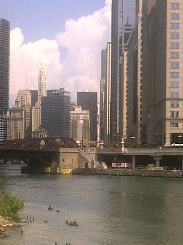 patlabguj's profile picture. 