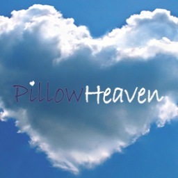 UK distributor of fine pillows and cushions