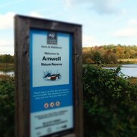 Amwell Birding (@amwellbirding) 's Twitter Profile