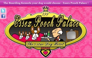 The Uk's first 5 Star Hotel & Spa for your pampered pooches!! Day stay, birthday parties, dog walking & lots more. Please like our Facebook page too!