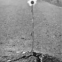 veronica quevedo - @VbQv2 - Twitter