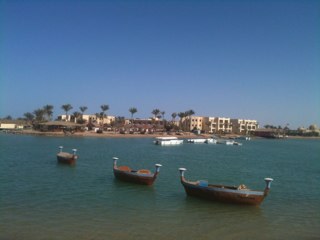 SGatefield's profile picture. 