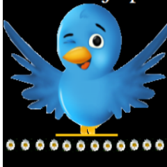 kolalijeli's profile picture. en hızlı en güzel rt.