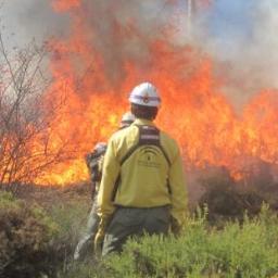 Información no-oficial sobre incendios forestales y manejo del fuego #RxFire #WildfireAnalyst #TREXAndalucia #CILIFO #FIREPOCTEP+ #EMA #INFOCA #losdeAmarillo