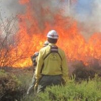 PACO SENRA (@pacosenra) 's Twitter Profile