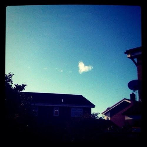 scareyzion's profile picture. 