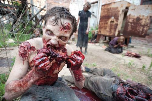 We are the surviving, the planning, the strong.  Follow Us on FaceBook!  The Walking Dead - Era of Zombies