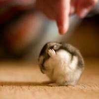 fahad bin seaidan (@fo_9) 's Twitter Profile Photo