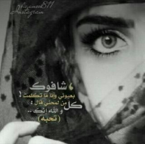 algamdi2222 Profile Picture