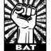 South Carolina BATs (@socarolinabats) Twitter profile photo