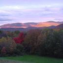 Steve Dew - @SteveDewCo - Twitter