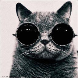 if Plan A didn't work, the Alphabets has 25 more letters.
Stay Cool. Life is an adventure