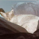 Mark Toner - @MacToner - Twitter