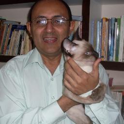 damiaoleandro's profile picture. 