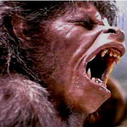 WerewolvesUnite's profile picture. Dedicated to Werewolf fans and friends.  We are active on FB/Meta, so please follow us there.