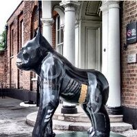 Batgrill (@_batgrill) 's Twitter Profile