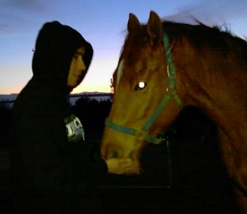 wordpress1O1's profile picture. Hello world, I decided to start a tutorial to help people who would like to start building websites using Wordpress.