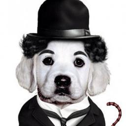 MaicolCanton Profile Picture