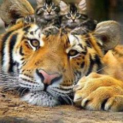 kylek0808's profile picture. 