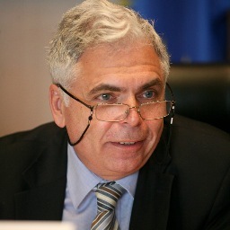Adrian Severin MEP