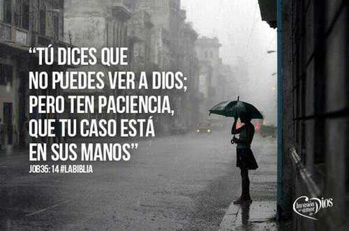 WilmarApont's profile picture. conquistare mis metas soy un vencedor todo es posible en Dios