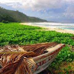 WPua_Insight's profile picture. Observer of life, seeking purpose and meaning, interested in conversations of change, challenge and dreams, hate poverty and it's nasty roots