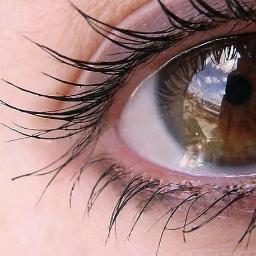 AmbienPuppet's profile picture. God hugger. Hope truster. Awake when I should be asleep.