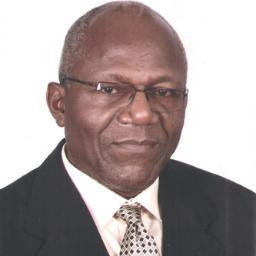 bmafolabi's profile picture. Former WHO staff Malaria, Medical Doctor, Chief Medical Research Fellow, Doctorate in Public Health, CEO Hlth Env and Dev Foundation, Basegun of Okeigbo Kingdom