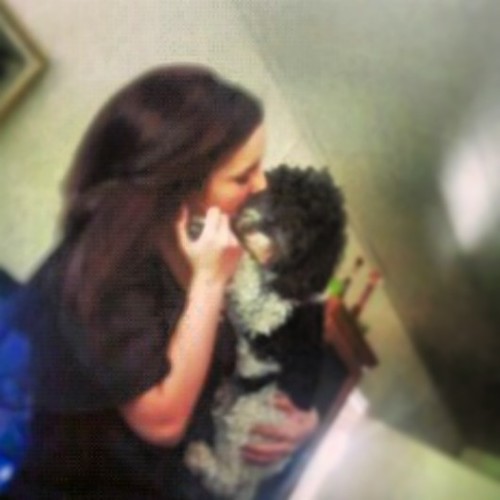 ♥stef