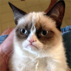 I hate everybody. GrumpyyCat@gmail.com