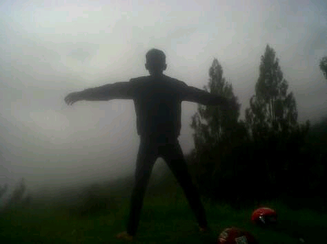 Free