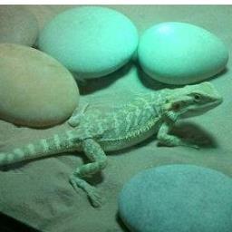 BenPangbourne's profile picture. hello