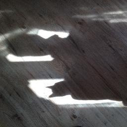 Arta_Skuja's profile picture. 