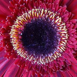 Northwestdesign's profile picture. 