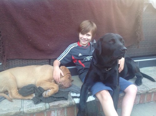 JoshoBoy10's profile picture. 