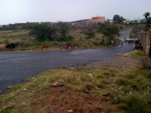 jaber57202172's profile picture. بعض الاشخاص ترگوا فے انفسنا تجربه ..علمتناا ان نتجنب امثالهم غدا ..