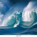 Ginger Alford - @GingerAlford10 - Twitter