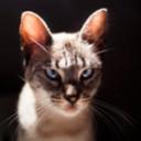 Mary Pain Siverio - @SiverioMary - Twitter