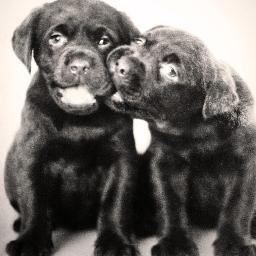 bumrdudez's profile picture. 