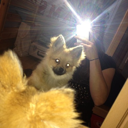 Deborrahh_'s profile picture. 