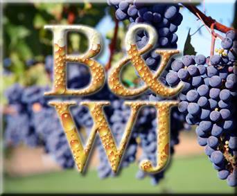 BeerWineJournal's profile picture. Daily journal of homebrewing and home winemaking.