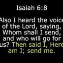 steven large - @mxracer96 - Twitter