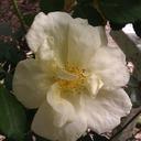 Beth Parr - @BethParr5 - Twitter