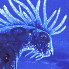 Ratushebarl's profile picture. A word made flesh